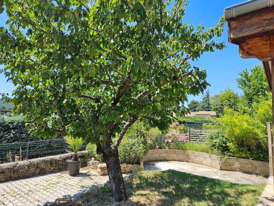Lavande - Drome Provencale